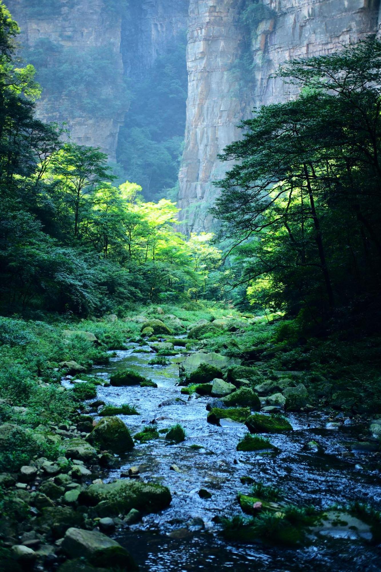Zhangjiajie Forest Park Youth Hostel 외부 사진
